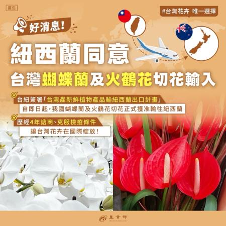 圖1_紐西蘭同意台灣蝴蝶蘭及火鶴花切花輸入.jpg