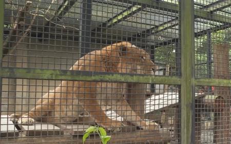 行政院長蘇貞昌參訪國立屏東科技大學_保育類野生動物收容中心3.jpg