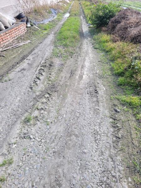 既有道路遭砂土覆蓋，應儘速協助道路整修，以確保用路人及當地農民的行車安全。