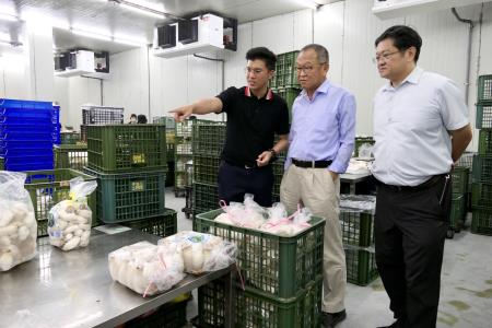 南服中心走訪全台最大杏鮑菇場 彙整成功模式助青年創業_1